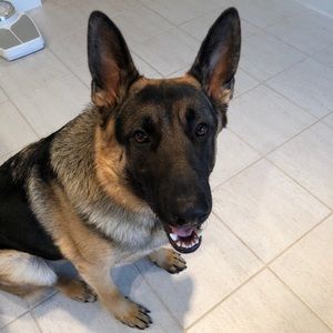 Meet your Posher, Jill